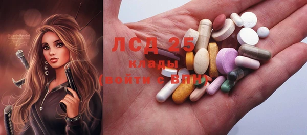сатива Новокубанск