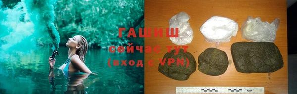 сатива Новокубанск