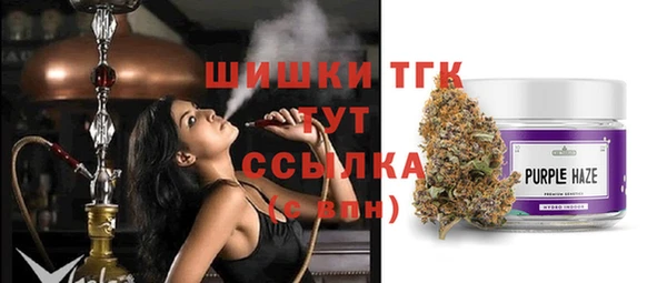 сатива Новокубанск