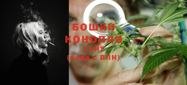 сатива Новокубанск