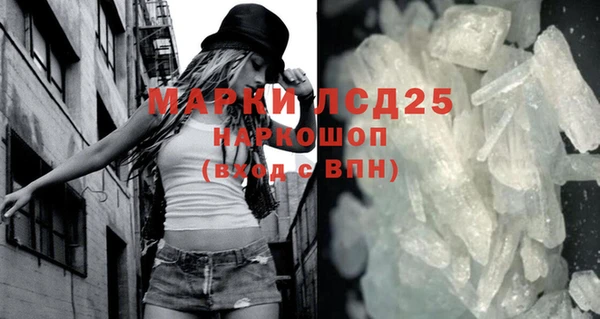 сатива Новокубанск