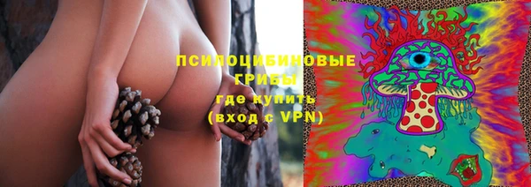 не бодяженный Новозыбков