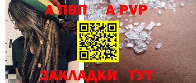 кокс Донской