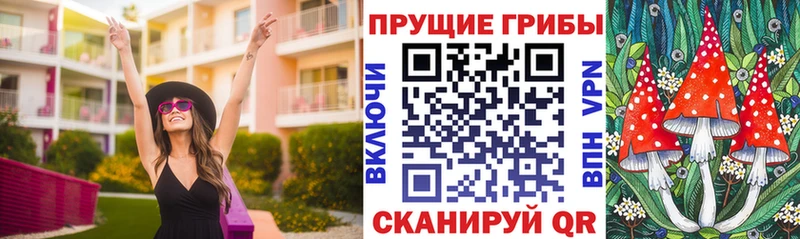 Псилоцибиновые грибы мицелий  Луховицы 