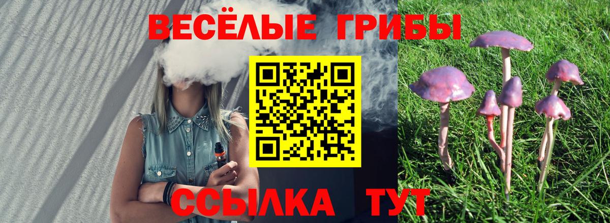 Псилоцибиновые грибы Psilocybe Луховицы