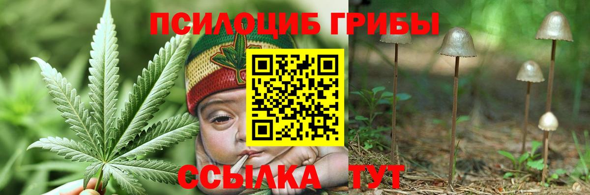 Псилоцибиновые грибы Cubensis  Луховицы 